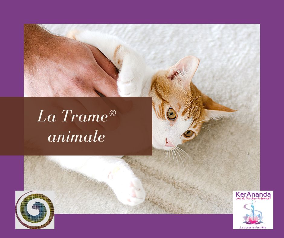 Trame® animale